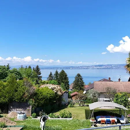 Charmante Maison A Avec Terrasse Et Parking - Fr-1-498-113 *